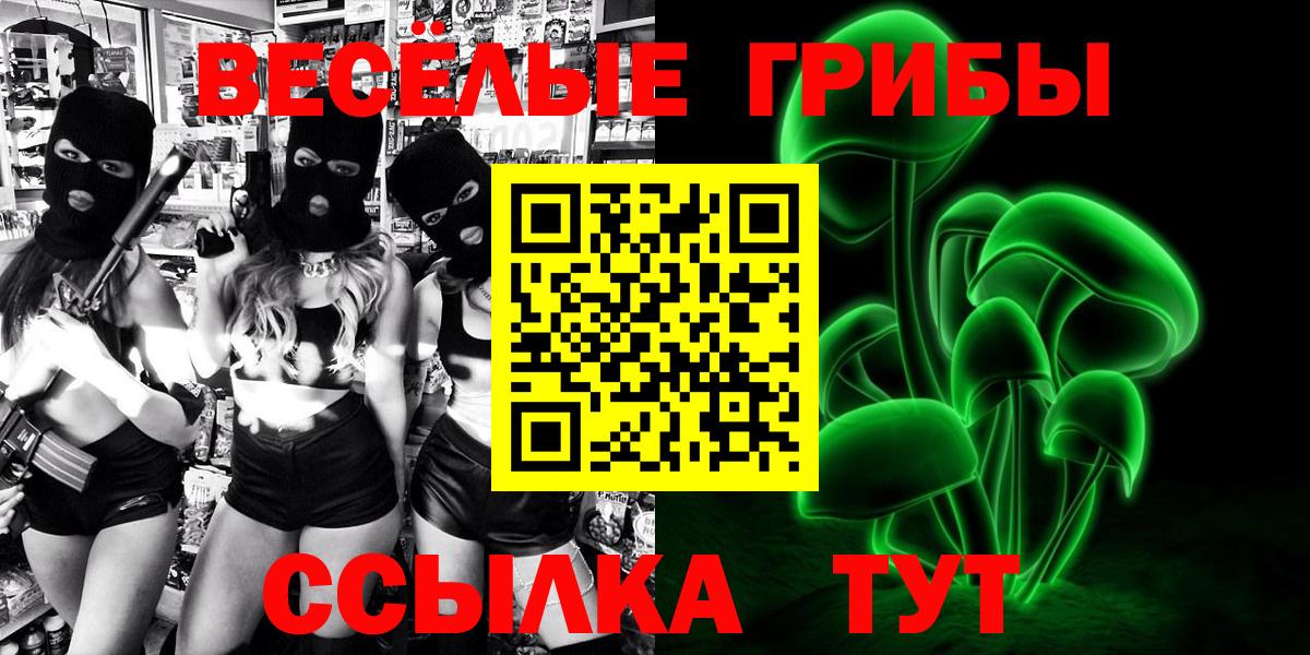 Псилоцибиновые грибы MAGIC MUSHROOMS  Вход с VPN  Гулькевичи 